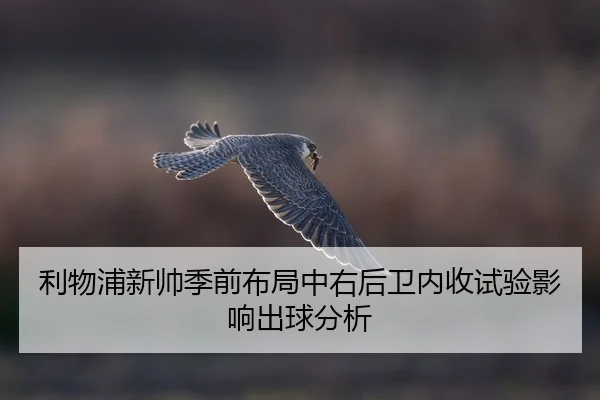 li-wu-pu-xin-shuai-ji-qian-bu-ju-zhong-you-hou-wei-nei-shou-shi-yan-ying-xiang-chu-qiu-fen-xi-2-896.jpg